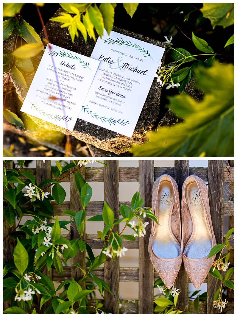 2017-07-11_0014.jpg 2017-07-11_0014.jpg