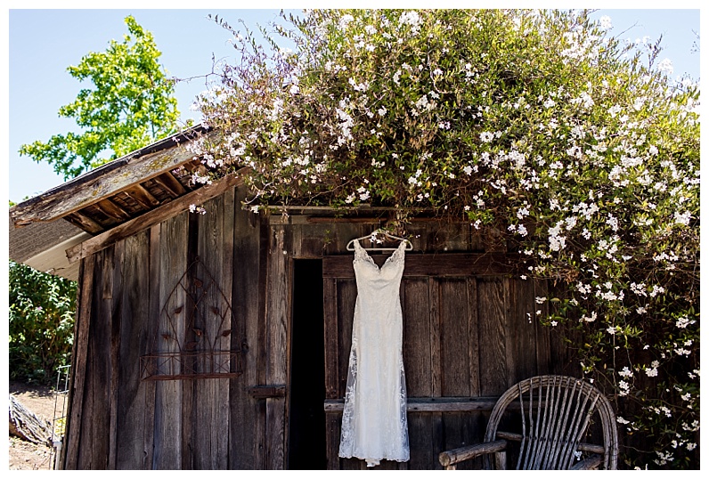 2017-07-11_0015.jpg 2017-07-11_0015.jpg