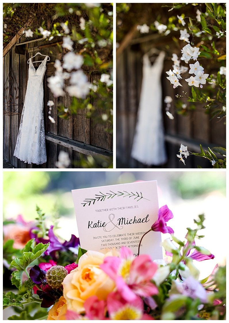 2017-07-11_0016.jpg 2017-07-11_0016.jpg