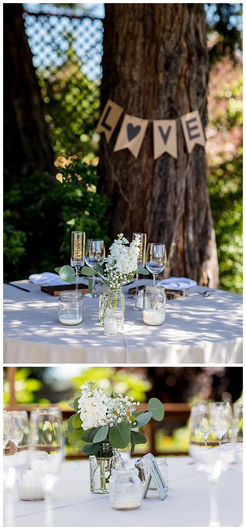 2017-07-12_0009.jpg 2017-07-12_0009.jpg