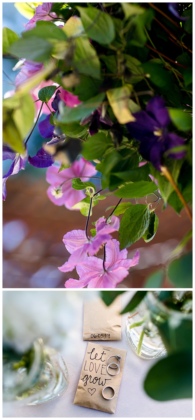 2017-07-12_0011.jpg 2017-07-12_0011.jpg