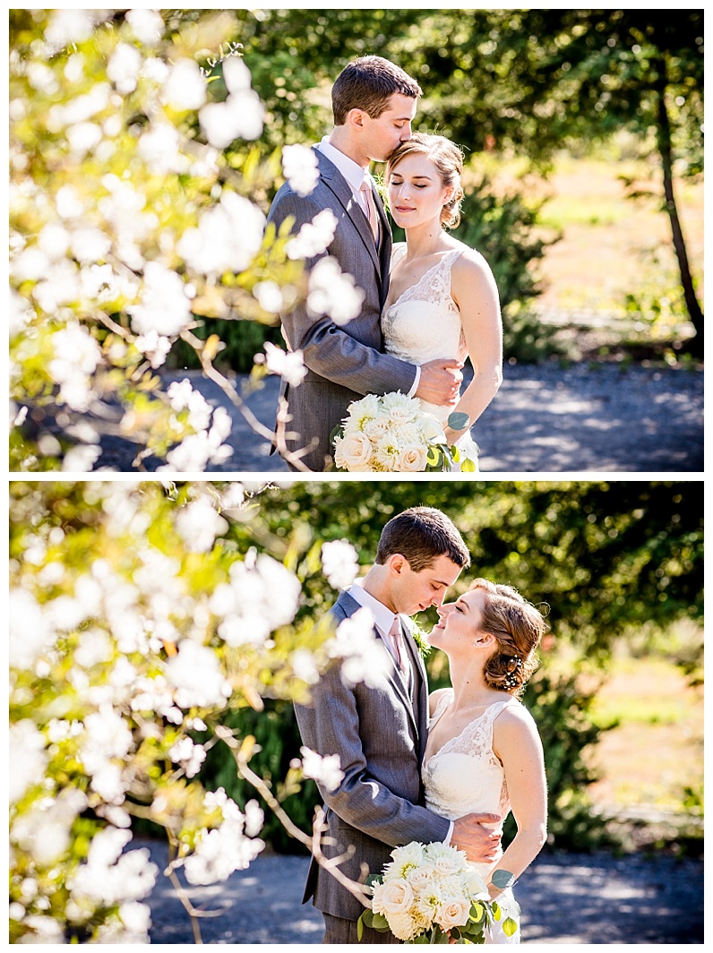 2017-07-12_0012.jpg 2017-07-12_0012.jpg