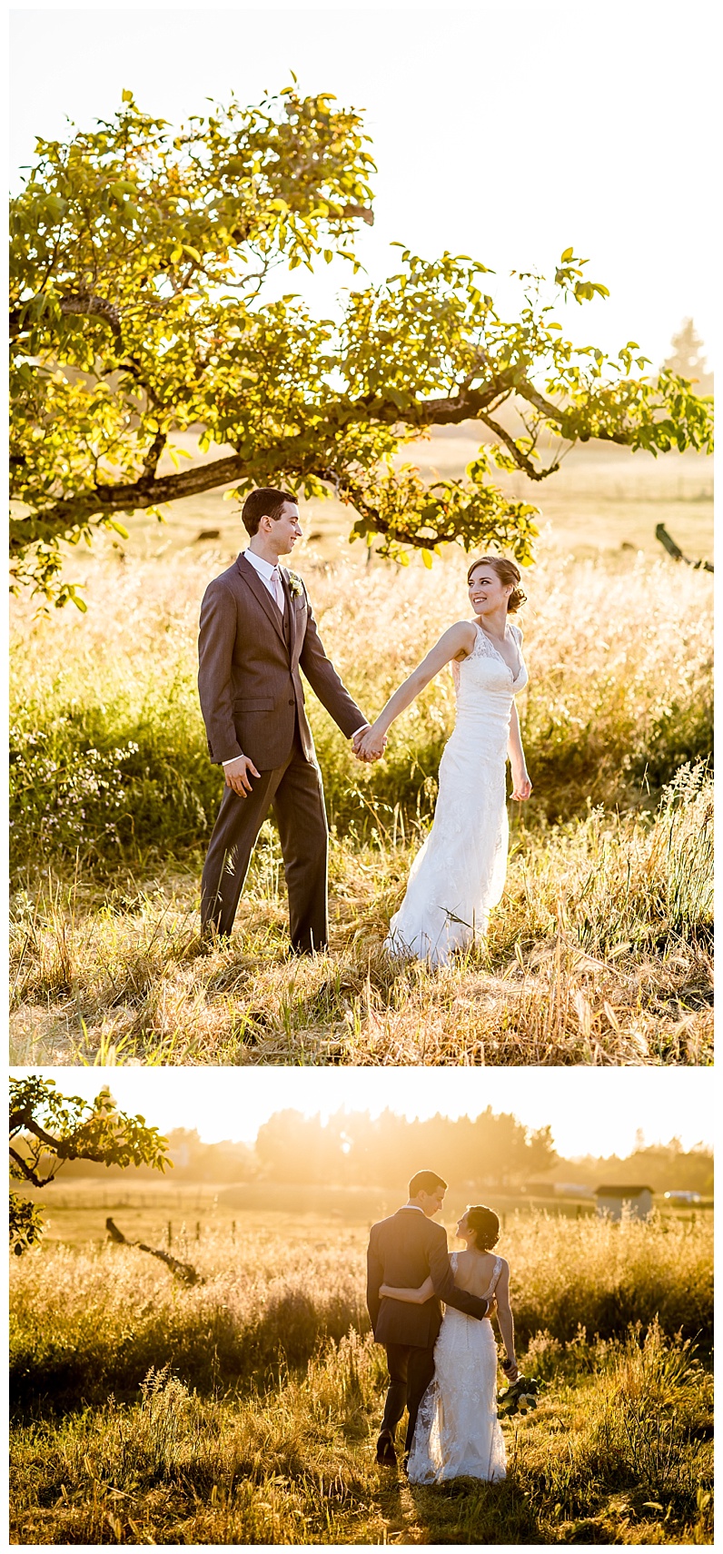 2017-07-12_0015.jpg 2017-07-12_0015.jpg