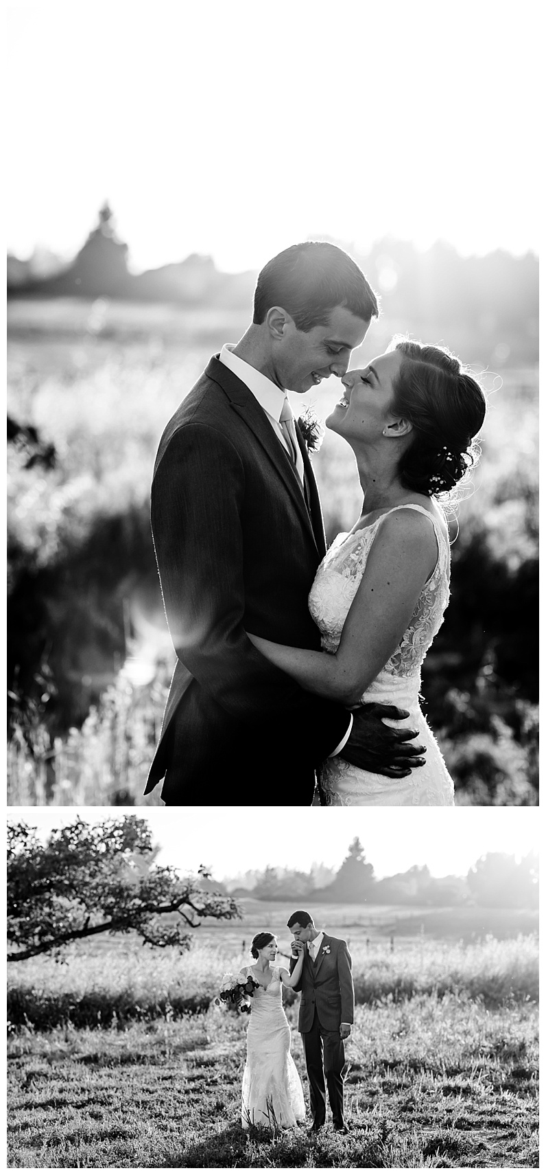 2017-07-12_0017.jpg 2017-07-12_0017.jpg