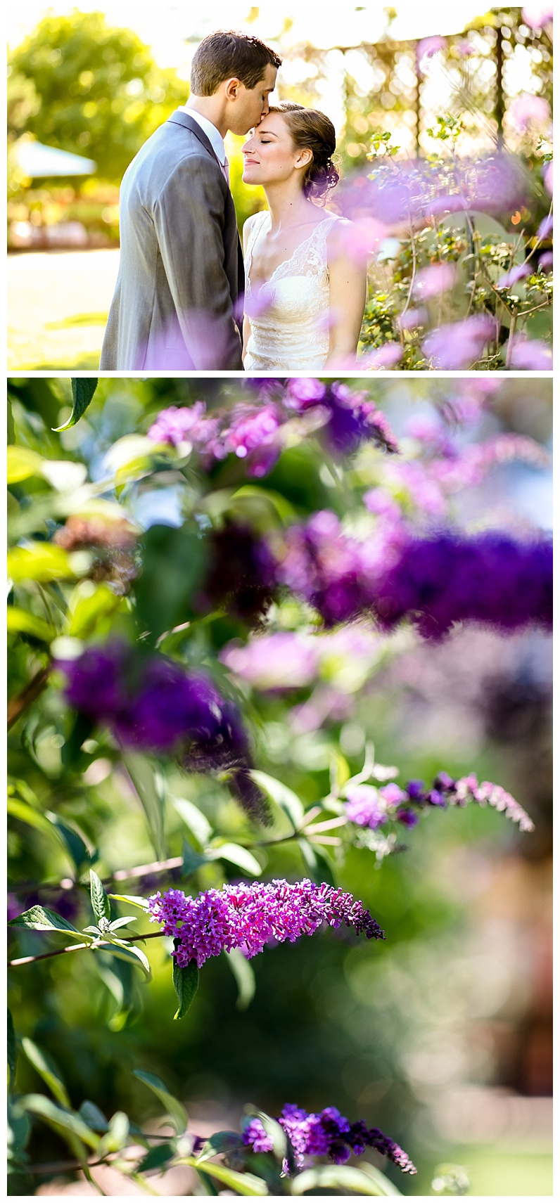 2017-07-12_0022.jpg 2017-07-12_0022.jpg